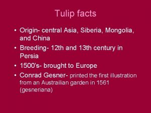 Tulip facts Origin central Asia Siberia Mongolia and