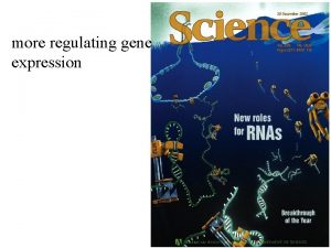 more regulating gene expression We looked at the