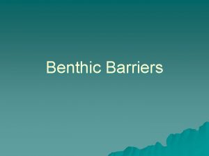 Benthic Barriers What is a Benthic Barrier Benthic