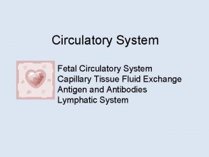 Circulatory System Fetal Circulatory System Capillary Tissue Fluid
