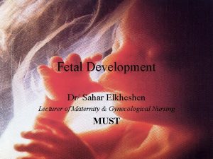 Fetal Development Dr Sahar Elkheshen Lecturer of Maternity