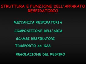 STRUTTURA E FUNZIONE DELLAPPARATO RESPIRATORIO MECCANICA RESPIRATORIA COMPOSIZIONE