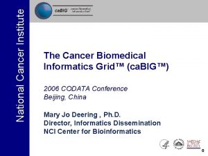 National Cancer Institute The Cancer Biomedical Informatics Grid