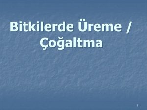 Bitkilerde reme oaltma 1 1 Eeyli generatif oalmaoaltma