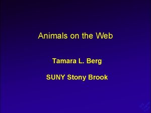 Animals on the Web Tamara L Berg U