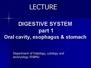 LECTURE DIGESTIVE SYSTEM part 1 Oral cavity esophagus