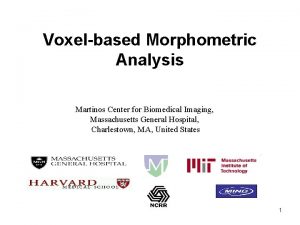Voxelbased Morphometric Analysis Martinos Center for Biomedical Imaging