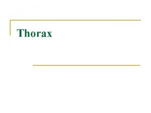 Thorax Internal thoracic artery descends into thorax 1