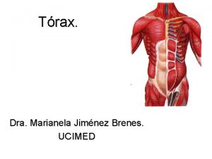 Trax Dra Marianela Jimnez Brenes UCIMED Esqueleto de