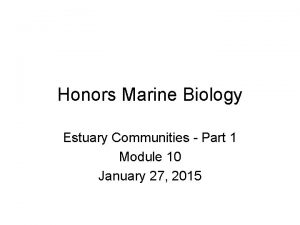 Honors Marine Biology Estuary Communities Part 1 Module