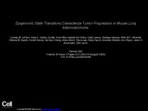 Epigenomic State Transitions Characterize Tumor Progression in Mouse
