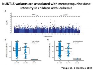 NUDT 15 variants are associated with mercaptopurine dose