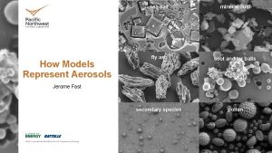 How Models Represent Aerosols seasalt mineral dust fly