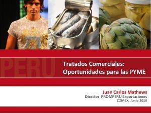 Tratados Comerciales Oportunidades para las PYME Juan Carlos