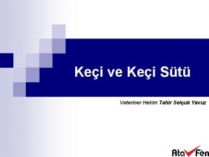 Kei ve Kei St Veteriner Hekim Tahir Seluk