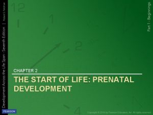 CHAPTER 2 THE START OF LIFE PRENATAL DEVELOPMENT