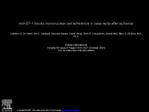 AntiB 7 1 blocks mononuclear cell adherence in