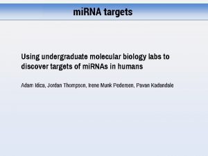 mi RNA targets Using undergraduate molecular biology labs