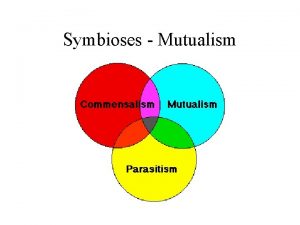 Symbioses Mutualism AnimalAlgae Mutualisms Healthy Coral Reef Indonesia