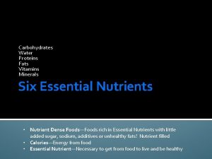 Carbohydrates Water Proteins Fats Vitamins Minerals Six Essential