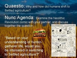 Quaestio Why and how did humans shift to