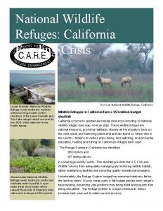 National Wildlife Refuges California Funding Crisis Lower Klamath