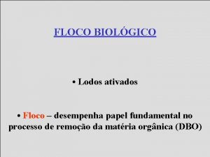 FLOCO BIOLGICO Lodos ativados Floco desempenha papel fundamental