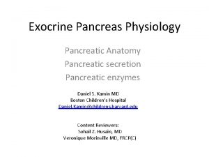 Exocrine Pancreas Physiology Pancreatic Anatomy Pancreatic secretion Pancreatic