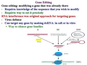 Gene Editing Gene editing modifying a gene that