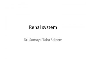 Renal system Dr Somaya Taha Saleem Urine analysis