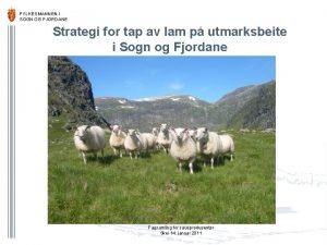 FYLKESMANNEN I SOGN OG FJORDANE Strategi for tap