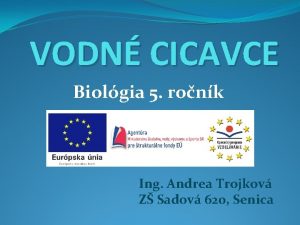 VODN CICAVCE Biolgia 5 ronk Ing Andrea Trojkov