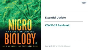 Essential Update COVID19 Pandemic Copyright 2020 W W