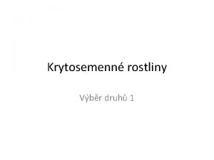 Krytosemenn rostliny Vbr druh 1 Blatouch bahenn Pryskynk