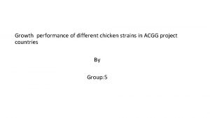 Growth performance of different chicken strains in ACGG