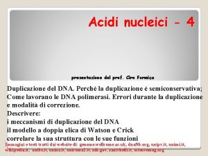 Acidi nucleici 4 presentazione del prof Ciro Formica
