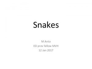 Snakes M Anto ED prov fellow MVH 12