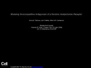 Modeling Noncompetitive Antagonism of a Nicotinic Acetylcholine Receptor