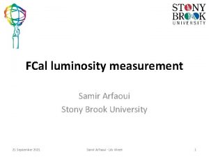FCal luminosity measurement Samir Arfaoui Stony Brook University