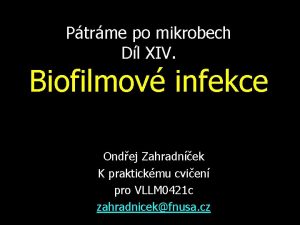 Ptrme po mikrobech Dl XIV Biofilmov infekce Ondej
