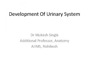 Development Of Urinary System Dr Mukesh Singla Additional