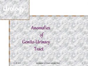 Urology Anomalies of GenitoUrinary Tract 21 09 2021