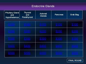 Endocrine Glands Thyroid and Parathyroid Adrenal Glands Pancreas