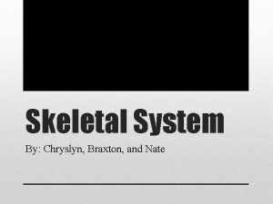 Skeletal System By Chryslyn Braxton and Nate The