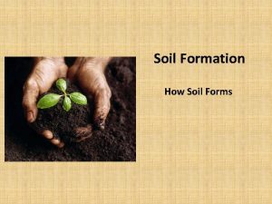Soil Formation How Soil Forms What is Soil