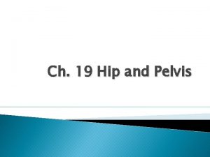Ch 19 Hip and Pelvis Objectives Explain the