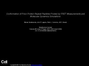 Conformation of Prion Protein Repeat Peptides Probed by