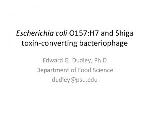 Escherichia coli O 157 H 7 and Shiga