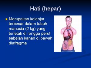 Hati hepar n Merupakan kelenjar terbesar dalam tubuh