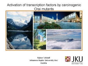 Activation of transcription factors by carcinogenic Orai mutants